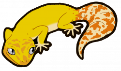 28+ Collection of Leopard Gecko Clipart | High quality, free ...