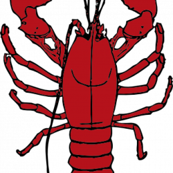 Lobster Clipart free clipart hatenylo.com