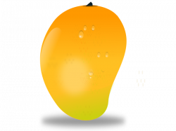 Mango Fruits Clipart