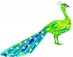 Peacock Pictures Clipart at GetDrawings.com | Free for personal use ...