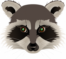 Raccoon Face Drawing at GetDrawings.com | Free for personal use ...