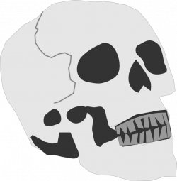 Skeleton Clipart nose - Free Clipart on Dumielauxepices.net