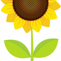 Sunflower Images Clip Art easter clipart hatenylo.com