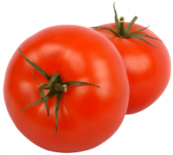 two juicy tomato png - Free PNG Images | TOPpng