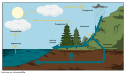 Kid Friendly Water Cyclem Math Worksheets The Hydrologic H2o ...