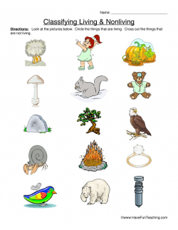 Living and Non-Living Things Resources | Have Fun Teaching