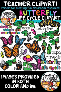 Butterfly Life Cycle Clipart {Life Cycles Clipart ...