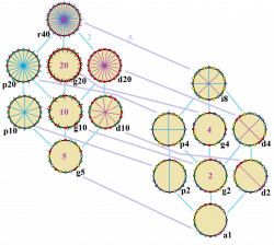 File:Symmetries of icosagon.png - Wikimedia Commons