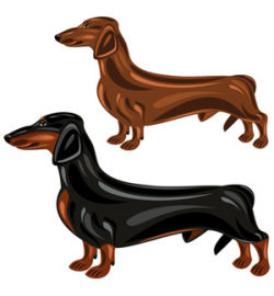 Two Dachshund Dogs in Show Poses ClipArt - Dog Clip Art