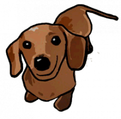 Free Dachshund Puppy Cliparts, Download Free Clip Art, Free ...