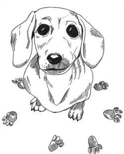 Dachshund Printable Coloring Pages | Doxie Love | Printable ...