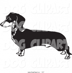 Dachshund Puppy Cliparts | Free download best Dachshund ...