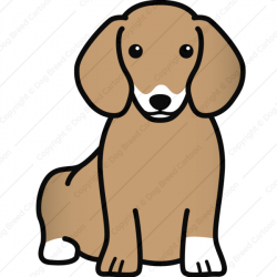 Dachshund clipart brown dachshund ~ Frames ~ Illustrations ~ HD ...