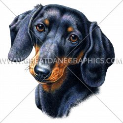 Dachshund Face | Production Ready Artwork for T-Shirt Printing