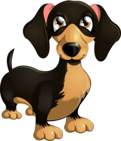 Dachshund dog with big eyes and floppy ears | drawings ...