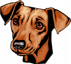 Dachshund Dog - Vector Image