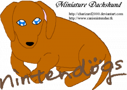 Nintendogs - Dachshund and... by charizard2000 on DeviantArt
