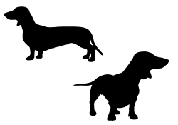 Miniature dachshund clip art clipart - ClipartAndScrap