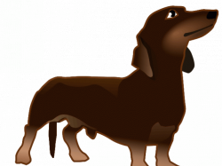 19 Dachshund clipart HUGE FREEBIE! Download for PowerPoint ...