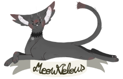 punny-cat (Shion) | DeviantArt