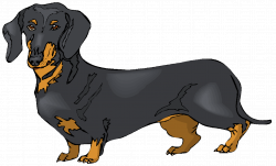 Dachshund Dog Clipart | Free download best Dachshund Dog Clipart on ...