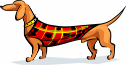 Dachshund Wiener Dog in Coat - Vector Image