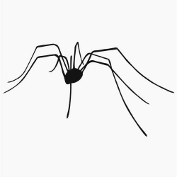 Daddy Long Legs Spider Clip Art | black and white printables ...