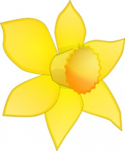 Free Daffodil Clipart