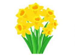 Search Results for daffodil - Clip Art - Pictures - Graphics ...