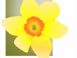 Free Daffodil Clipart, Download Free Clip Art on Owips.com