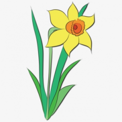 Daffodils Clipart Big Flower #2553148 - Free Cliparts on ...