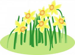 Floral design Wild daffodil Cut flowers Bunch-flowered daffodil ...