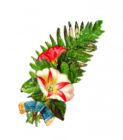 Botanical Clip Art - Cliparts.co