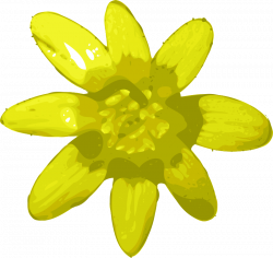 Daffodils PNG Transparent Images Group (63+)