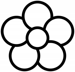 White Flower With 5 Petals Images - Flower Decoration Ideas