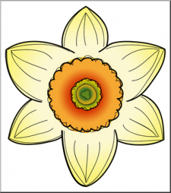 Clip Art: Daffodil Head 2 Color 2 I abcteach.com | abcteach