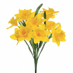 Single Daffodil transparent PNG - StickPNG