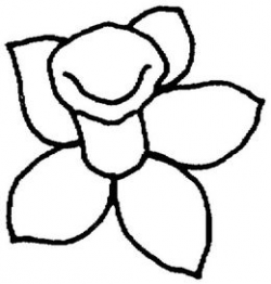 Download daffodil outline clipart Daffodil Drawing Clip art