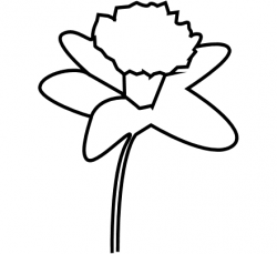 Free Daffodil Outline, Download Free Clip Art, Free Clip Art ...
