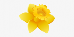 Daffodils Clipart Wales - Daffodil Icon Transparent PNG ...