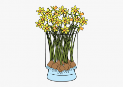 Daffodil Clipart Early Spring Flower - Giant White Arum Lily ...