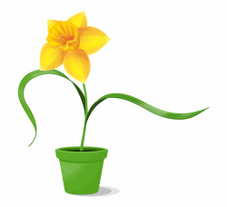 Daffodil Clipart Easter - Artificial Flower - daffodil png ...
