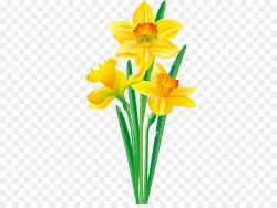 Free Easter Flower Clipart yellow daffodil, Download Free ...