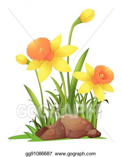 Clip Art Vector - Daffodil flowers in garden. Stock EPS ...