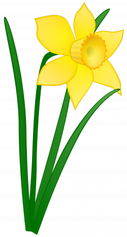 free flower clipart transparent background intended for your ...