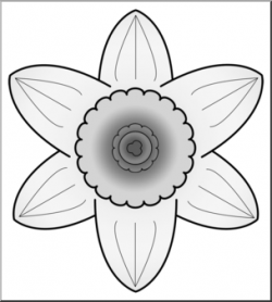 Clip Art: Daffodil Head 1 Grayscale 2 I abcteach.com | abcteach