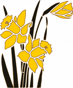 Narcissus Clipart (39+) Desktop Backgrounds