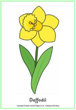 activity village spring activities | Spring | Daffodils, Fun ...