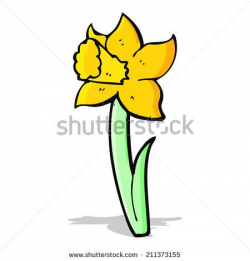 day+lily+clip+art | Cartoon Daffodil Stock Illustration ...