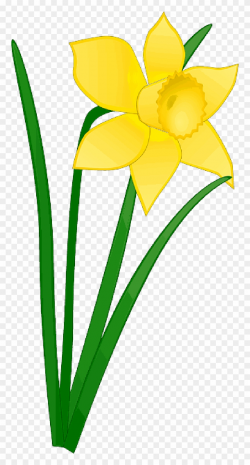 Daffodil Clipart Church Flower - Daffodil Clipart - Png ...
